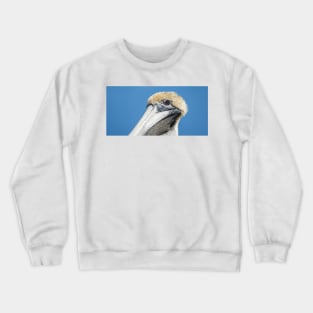 Awesome pelican Crewneck Sweatshirt